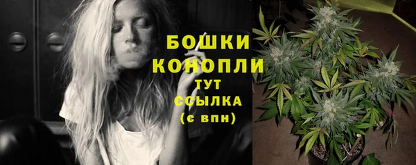 бутират Белокуриха